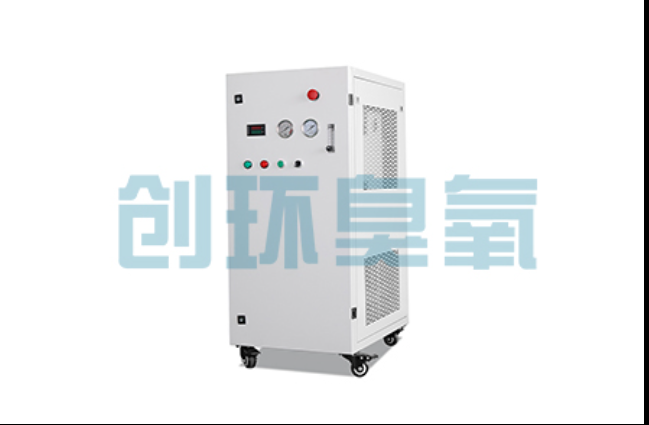 下花园工厂化养鲈必看:2026年臭氧发生器替代传统消毒的最新方案