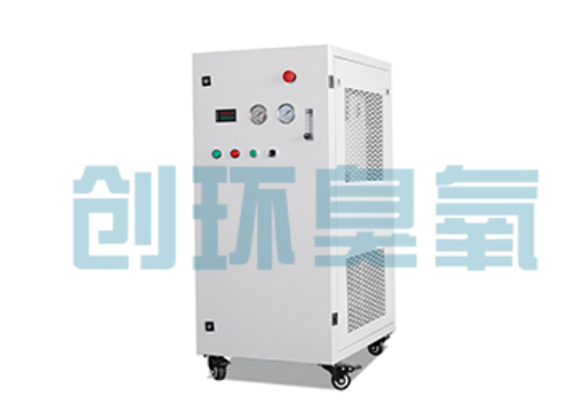 下花园石斑鱼养殖水质调控完整指南:臭氧发生器配置与操作步骤