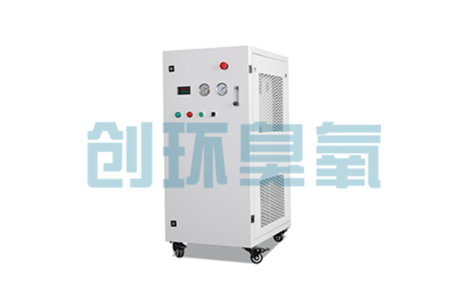 下花园比传统换水更高效?臭氧发生器在石斑鱼养殖中的水质净化原理解析
