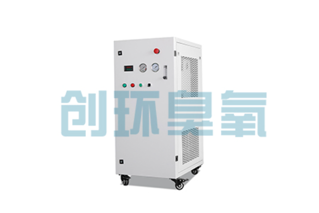 下花园比传统换水更高效?臭氧发生器在石斑鱼养殖中的水质净化原理解析